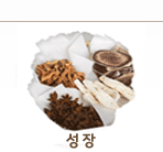 성장